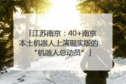 江苏南京：40+南京本土机器人上演现实版的“机器人总动员”