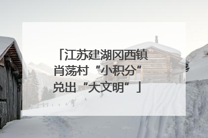 江苏建湖冈西镇肖荡村“小积分”兑出“大文明”