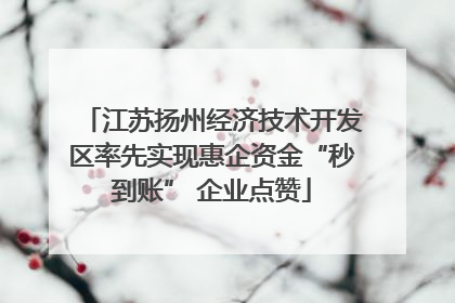 江苏扬州经济技术开发区率先实现惠企资金“秒到账” 企业点赞