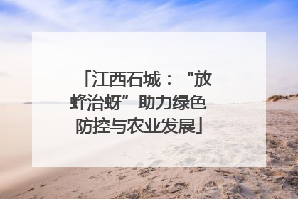 江西石城：“放蜂治蚜”助力绿色防控与农业发展