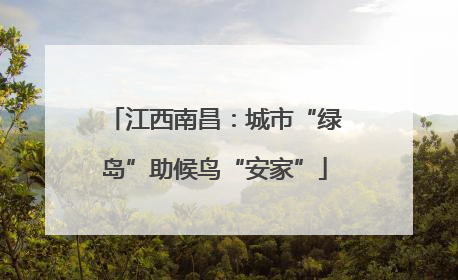 江西南昌：城市“绿岛”助候鸟“安家”