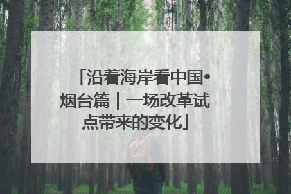 沿着海岸看中国•烟台篇｜一场改革试点带来的变化