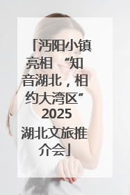 沔阳小镇亮相 “知音湖北，相约大湾区” 2025湖北文旅推介会