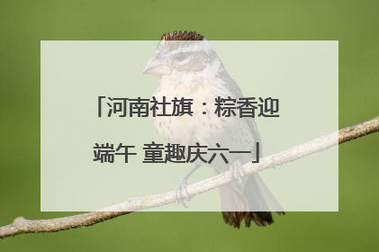 河南社旗：粽香迎端午 童趣庆六一