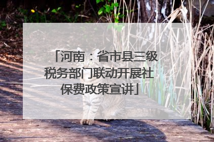 河南：省市县三级税务部门联动开展社保费政策宣讲