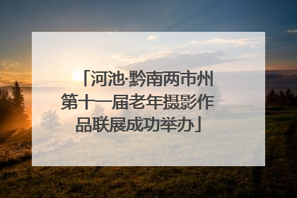 河池·黔南两市州第十一届老年摄影作品联展成功举办