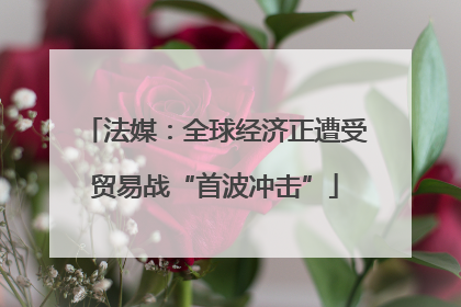 法媒：全球经济正遭受贸易战“首波冲击”