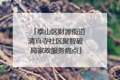 泰山区财源街道清真寺社区聚智破局家政服务痛点