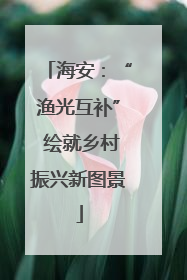 海安：“渔光互补” 绘就乡村振兴新图景