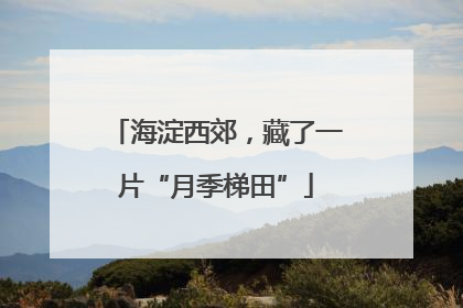 海淀西郊，藏了一片“月季梯田”