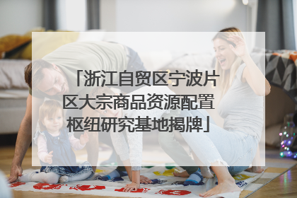 浙江自贸区宁波片区大宗商品资源配置枢纽研究基地揭牌