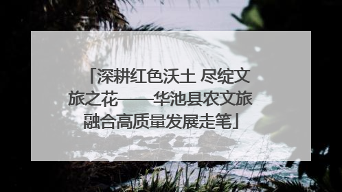 深耕红色沃土 尽绽文旅之花——华池县农文旅融合高质量发展走笔