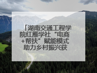 湖南交通工程学院红雁学社“电商+帮扶”赋能模式 助力乡村振兴获帮扶乡镇好评