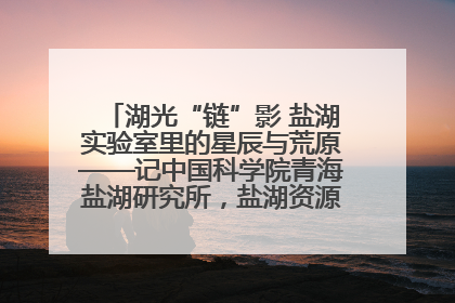 湖光“链”影 盐湖实验室里的星辰与荒原——记中国科学院青海盐湖研究所，盐湖资源化学实验室党总支书记、副主任刘忠