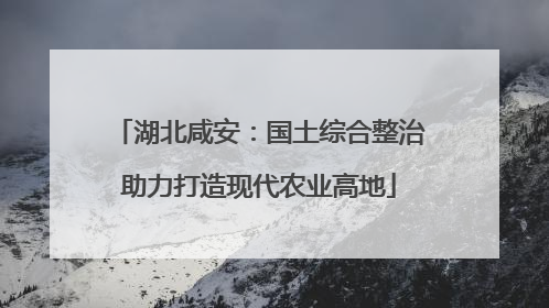 湖北咸安：国土综合整治助力打造现代农业高地