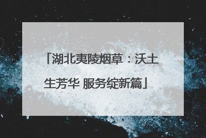 湖北夷陵烟草：沃土生芳华 服务绽新篇