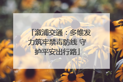 溆浦交通：多维发力筑牢禁毒防线 守护平安出行路
