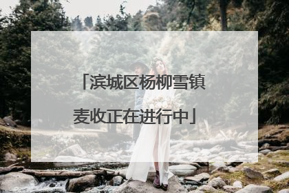 滨城区杨柳雪镇麦收正在进行中