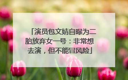 演员包文婧自曝为二胎放弃女一号：非常想去演，但不能冒风险