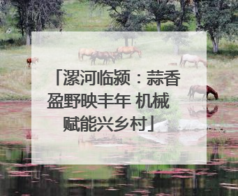 漯河临颍：蒜香盈野映丰年 机械赋能兴乡村