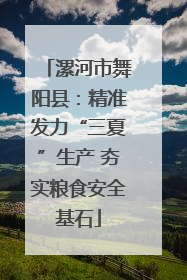 漯河市舞阳县：精准发力“三夏”生产 夯实粮食安全基石