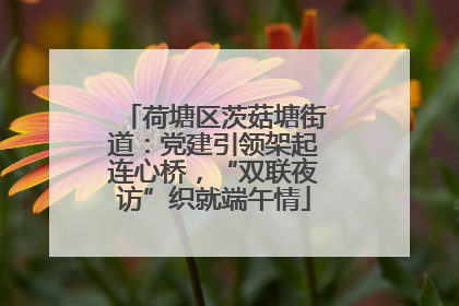荷塘区茨菇塘街道：党建引领架起连心桥，“双联夜访”织就端午情