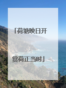 荷塘映日开 赏荷正当时
