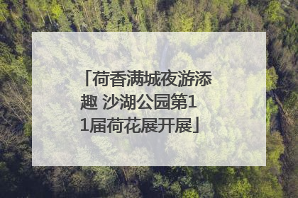 荷香满城夜游添趣 沙湖公园第11届荷花展开展