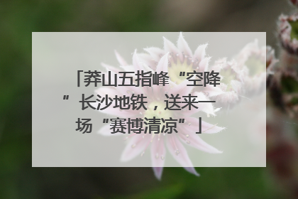 莽山五指峰“空降”长沙地铁，送来一场“赛博清凉”