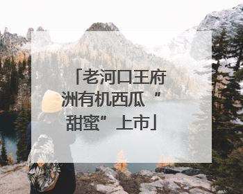 老河口王府洲有机西瓜“甜蜜”上市