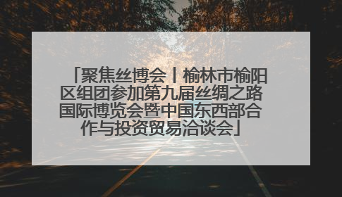 聚焦丝博会丨榆林市榆阳区组团参加第九届丝绸之路国际博览会暨中国东西部合作与投资贸易洽谈会