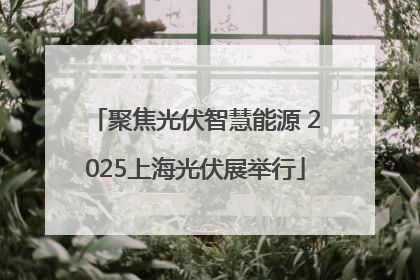 聚焦光伏智慧能源 2025上海光伏展举行
