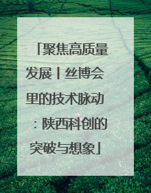 聚焦高质量发展丨丝博会里的技术脉动：陕西科创的突破与想象