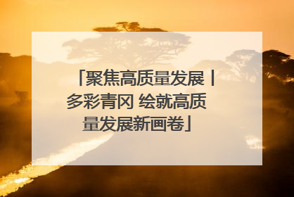 聚焦高质量发展丨多彩青冈 绘就高质量发展新画卷