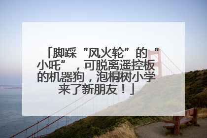 脚踩“风火轮”的“小吒”，可脱离遥控板的机器狗，泡桐树小学来了新朋友！