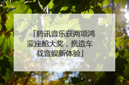 腾讯音乐获两项鸿蒙座舱大奖，携造车载音娱新体验