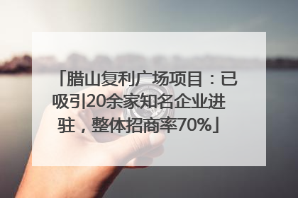 腊山复利广场项目：已吸引20余家知名企业进驻，整体招商率70%