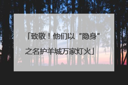 致敬！他们以“隐身”之名护羊城万家灯火