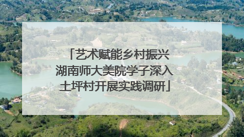 艺术赋能乡村振兴 湖南师大美院学子深入土坪村开展实践调研