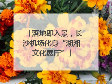 落地即入景，长沙机场化身“湖湘文化展厅”