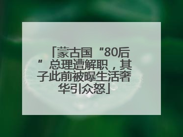 蒙古国“80后”总理遭解职，其子此前被曝生活奢华引众怒