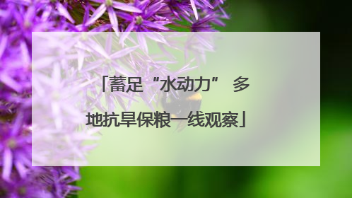 蓄足“水动力” 多地抗旱保粮一线观察
