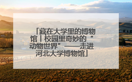 藏在大学里的博物馆丨校园里奇妙的“动物世界”——走进河北大学博物馆