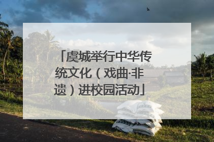 虞城举行中华传统文化（戏曲·非遗）进校园活动