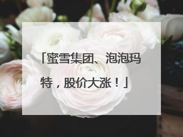 蜜雪集团、泡泡玛特，股价大涨！