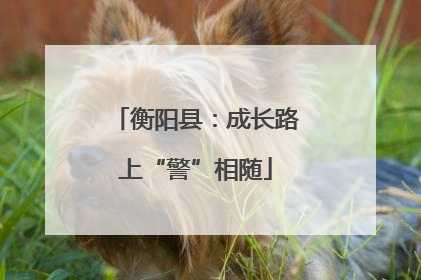 衡阳县：成长路上“警”相随