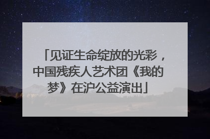 见证生命绽放的光彩，中国残疾人艺术团《我的梦》在沪公益演出
