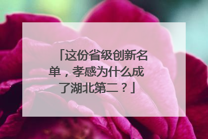这份省级创新名单，孝感为什么成了湖北第二？