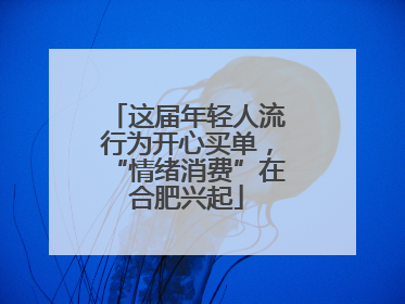 这届年轻人流行为开心买单，“情绪消费”在合肥兴起