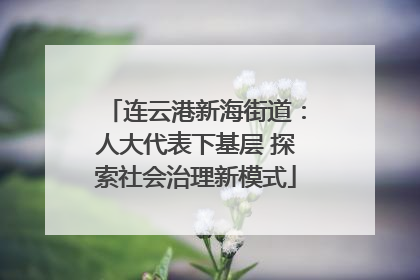 连云港新海街道：人大代表下基层 探索社会治理新模式